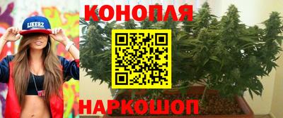 кокс Нальчик