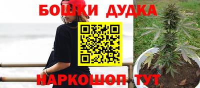 кокс Нальчик