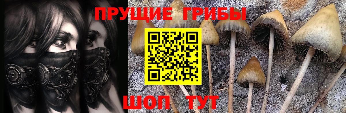 Галлюциногенные грибы Cubensis Сыктывкар