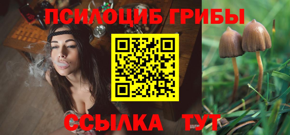 Сыктывкар  Псилоцибиновые грибы MAGIC MUSHROOMS  Вход с VPN  Псилоцибиновые грибы Psilocybe 